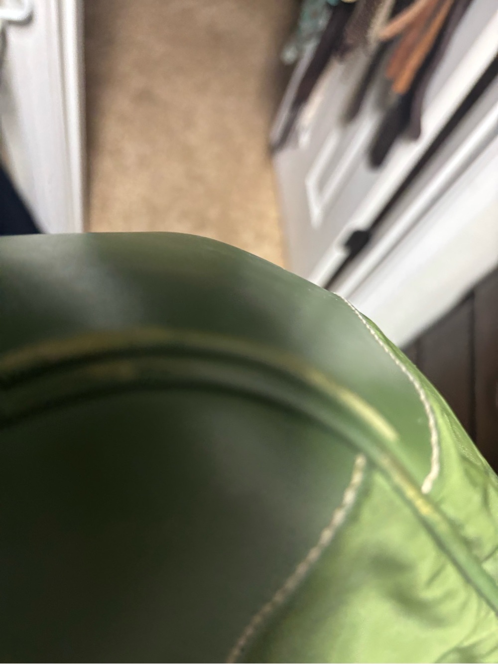 Prada Green Leather and Canvas Hobo with Gold Hardware - Picture 11 of 14